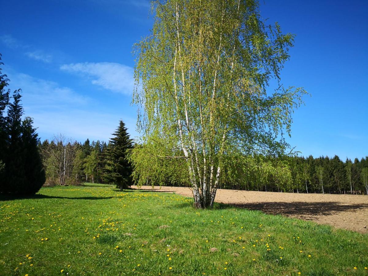 Ferienwohnungen 1 Bis 4 "Pumphut'S Scheune" Lengenfeld  Bagian luar foto