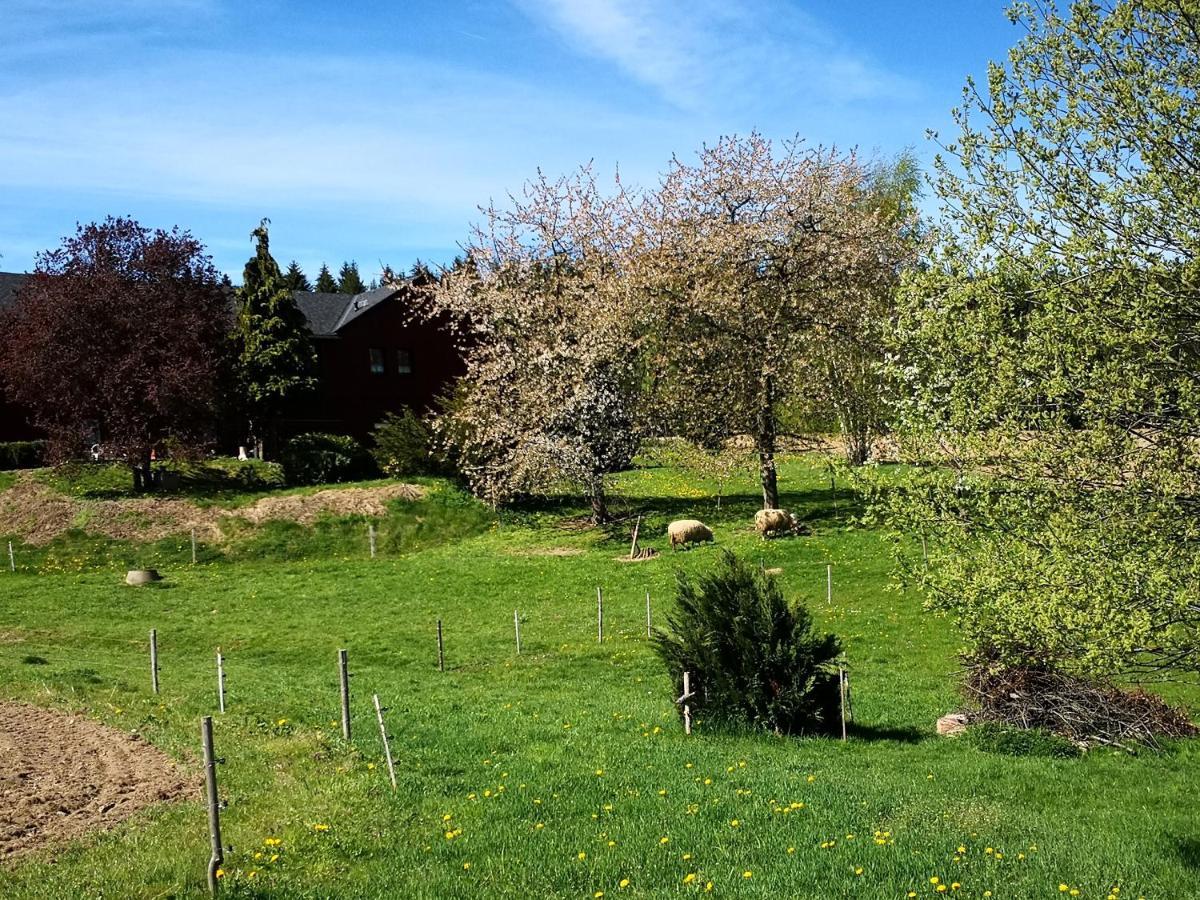 Ferienwohnungen 1 Bis 4 "Pumphut'S Scheune" Lengenfeld  Bagian luar foto